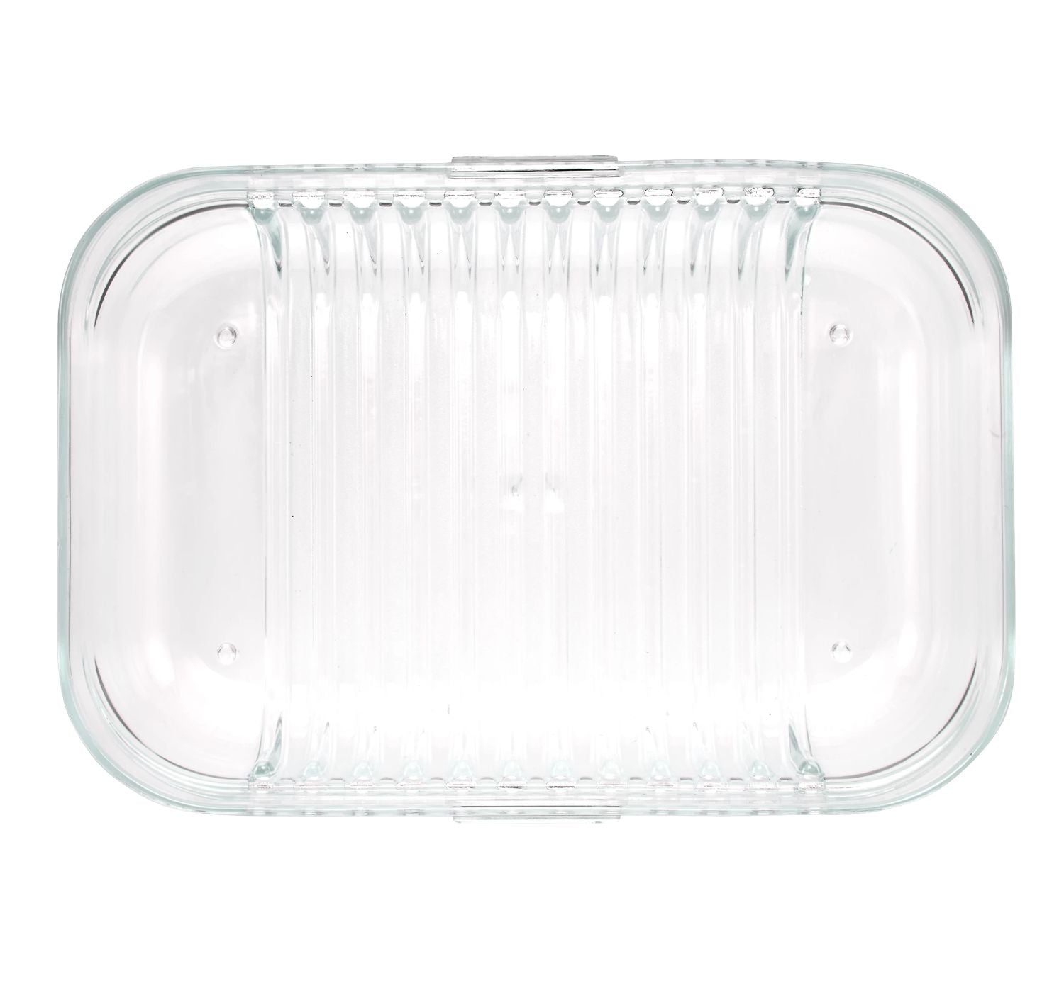 Packit Mod Bento Container Lunch Box (2 Colours) - Pupsik Singapore