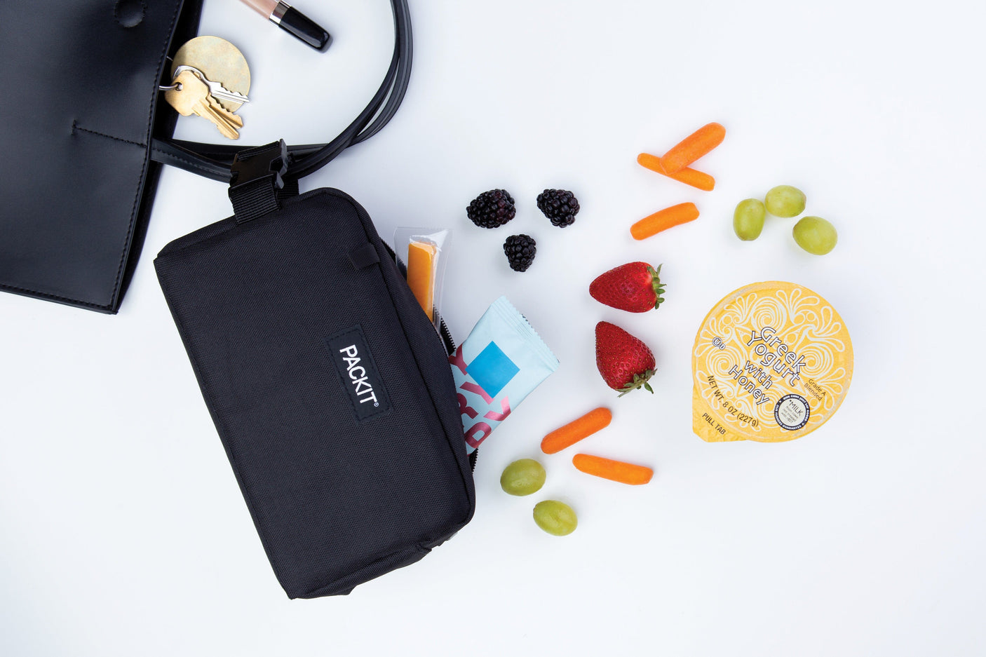 PackIt Freezable Snack Box (4 Designs) - Pupsik Singapore