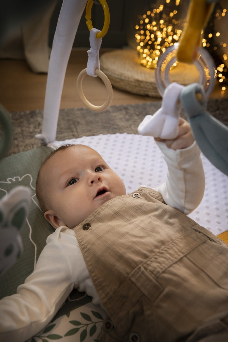 Sophie the Giraffe Reversible Playmat