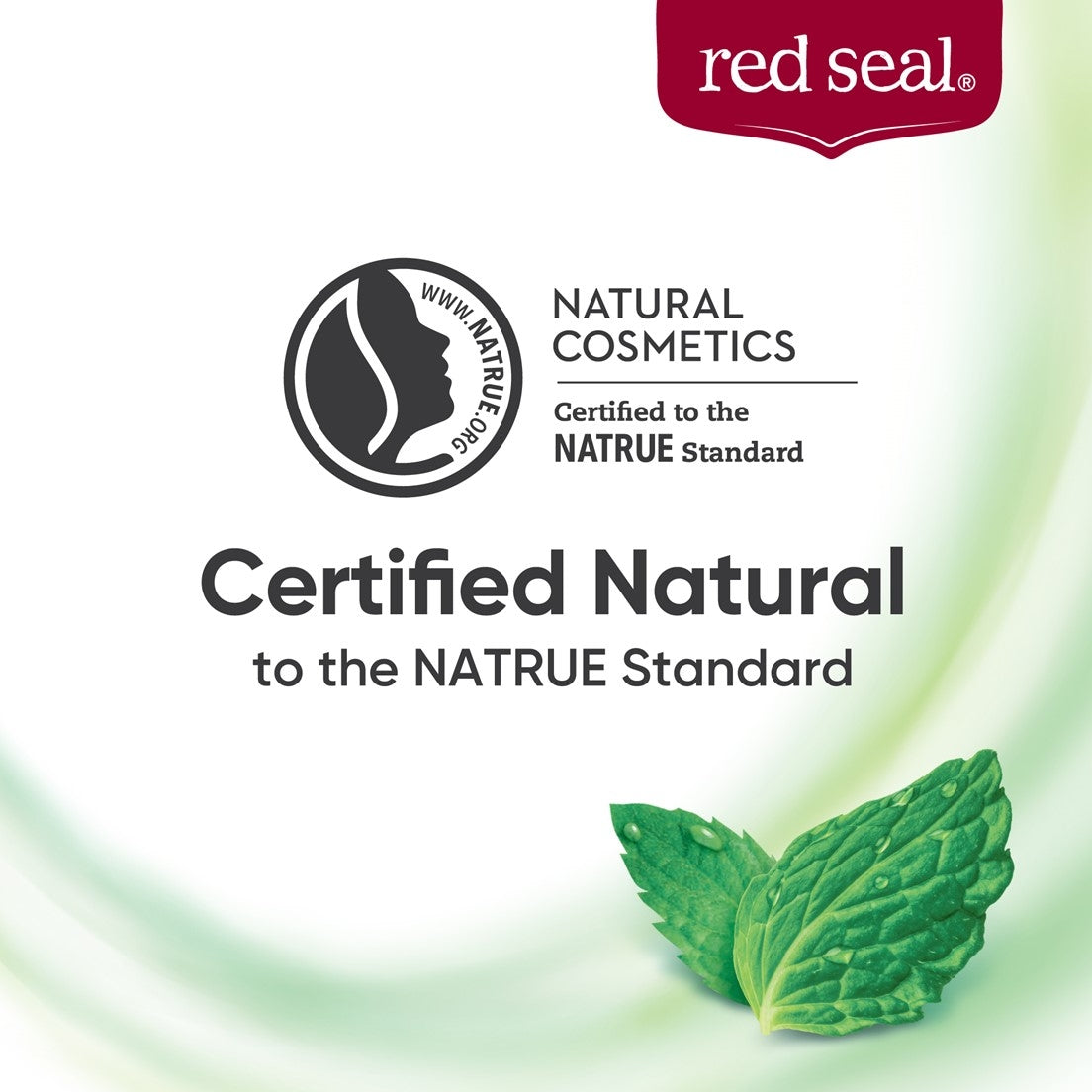 Red Seal Complete Care Fluoride Mild Mint Natural Toothpaste, 100g (Exp 06/27)