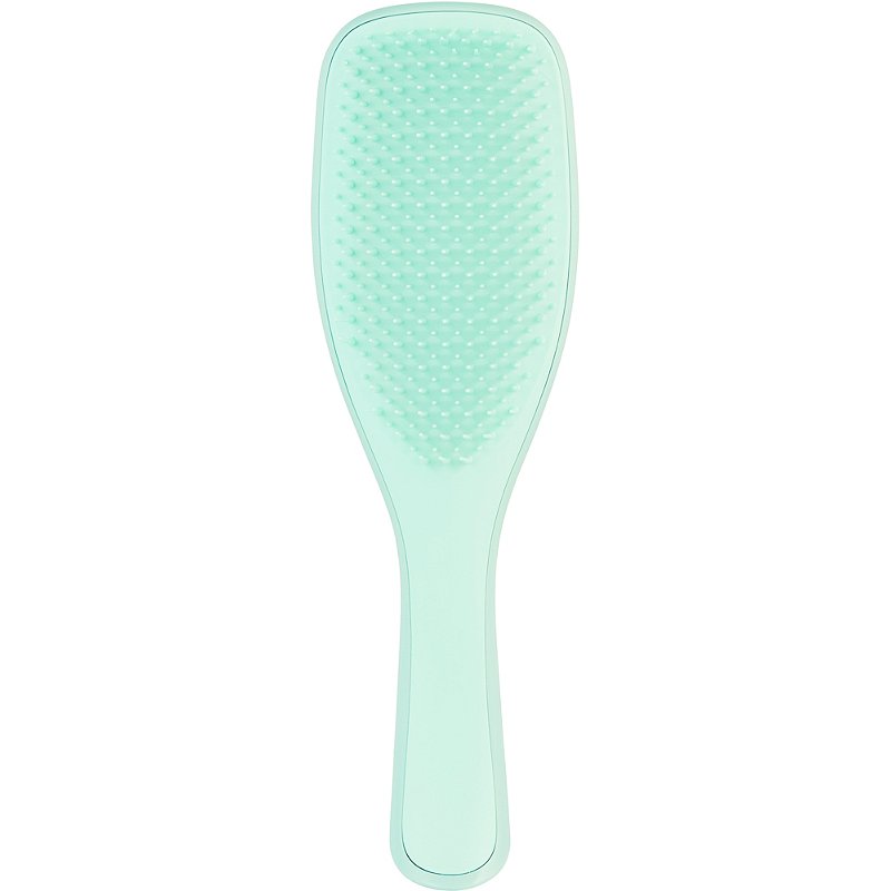Tangle Teezer The Ultimate Detangler Regular Hairbrush, Fine & Fragile (6 Colors) - Pupsik Singapore