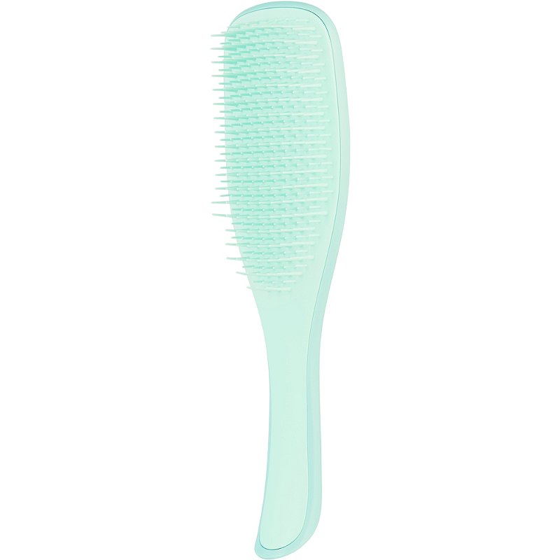 Tangle Teezer The Ultimate Detangler Regular Hairbrush, Fine & Fragile (6 Colors) - Pupsik Singapore