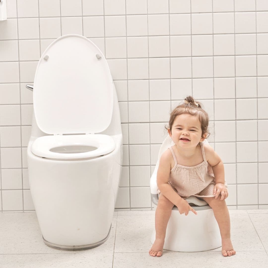 IFAM 3-in-1 Premium Toddler Potty Toilet Seat & Step Stool