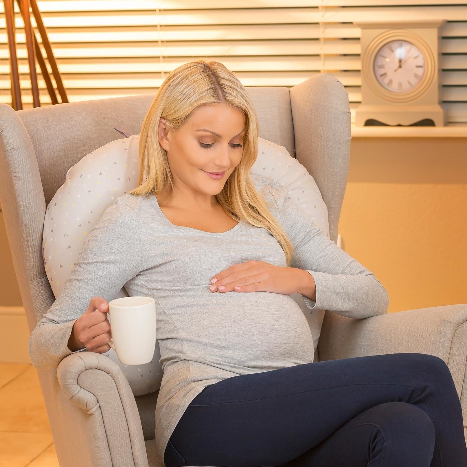 Clevamama ClevaCushion Nursing Pillow & Baby Nest  (5 Designs) - Pupsik Singapore