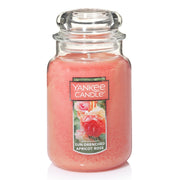 Yankee Candle Large Jar Candle (22oz) - Sun-Drenched Apricot Rose
