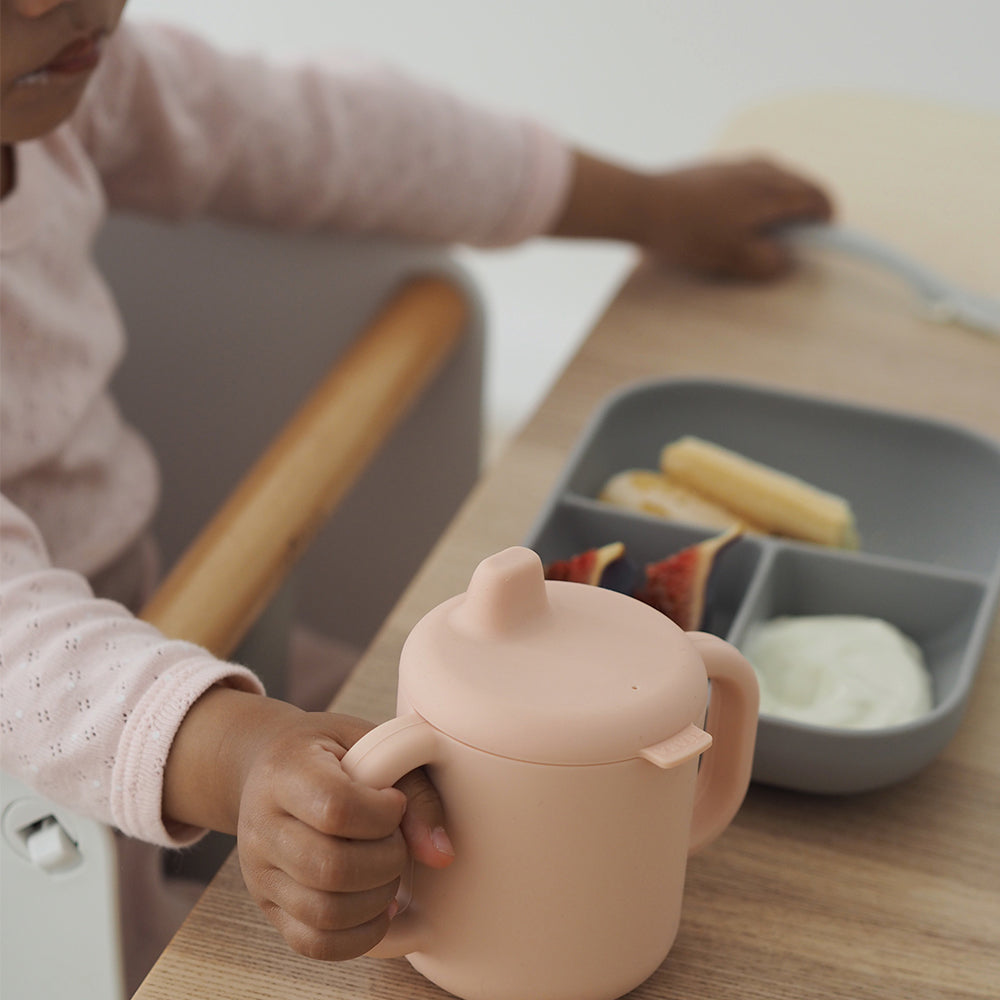 Beaba Silicone Learning Feeding Set - Grey/Pink