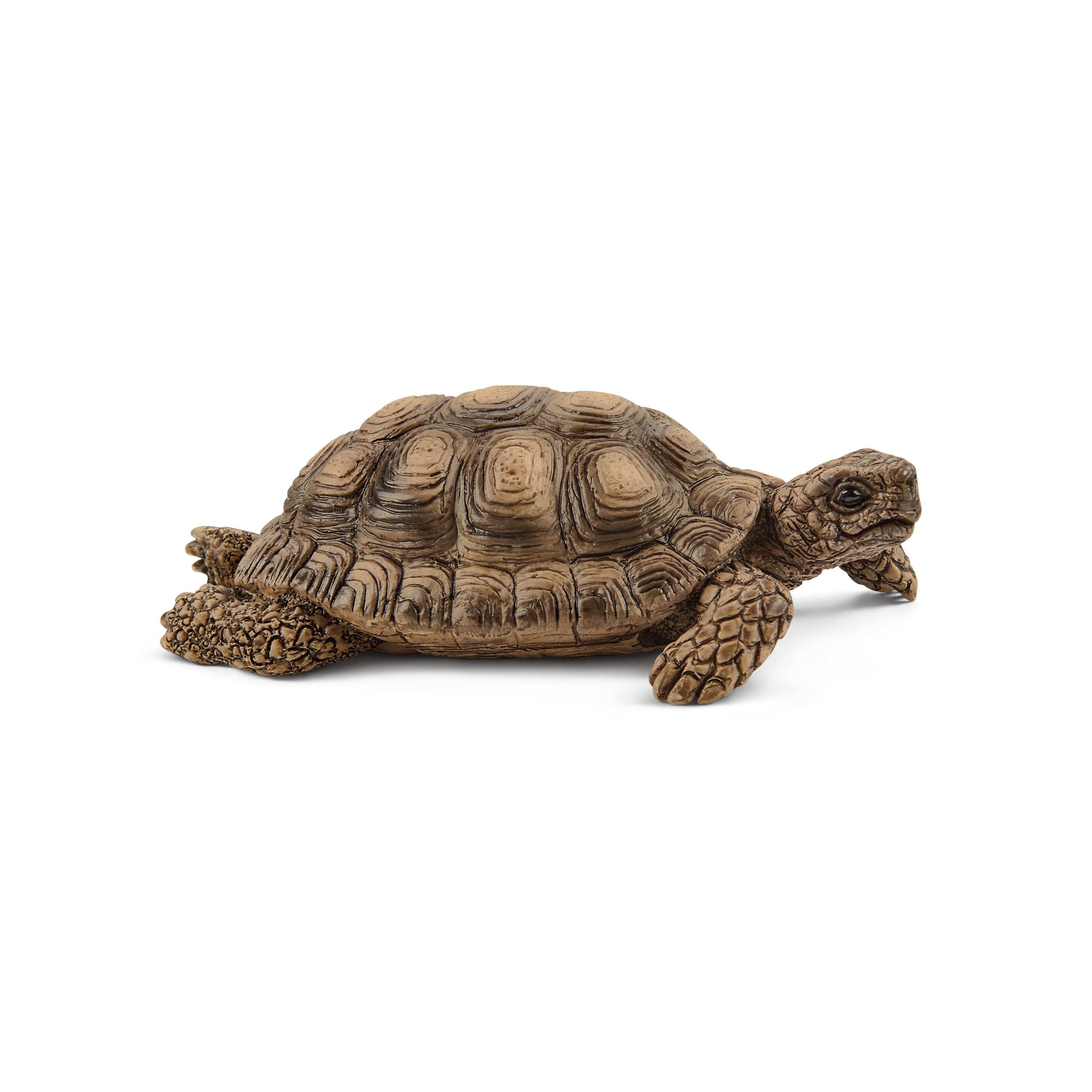Schleich Tortoise Home Figurine Toy Set