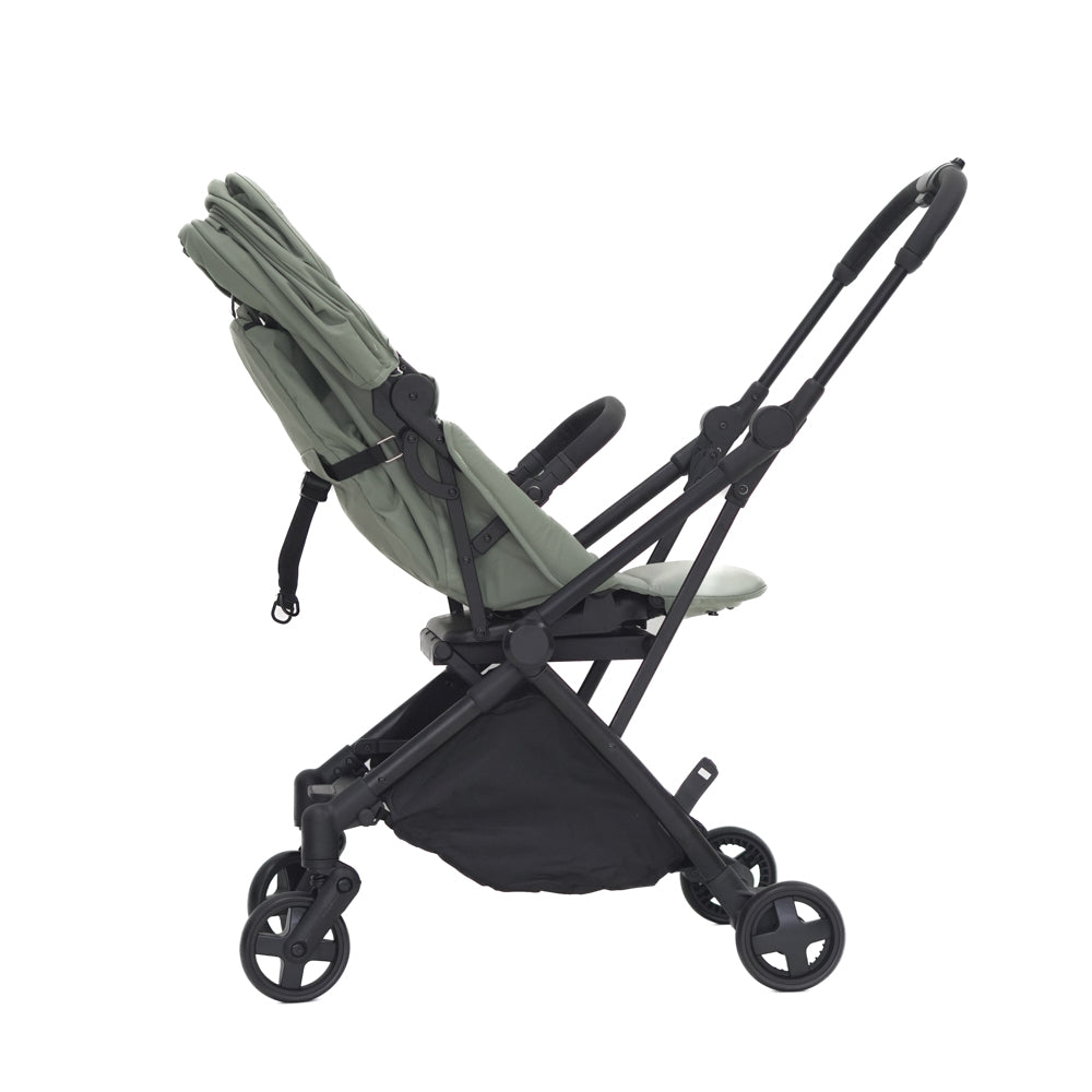 Mimosa Carousel Cruiser Stroller - Matcha
