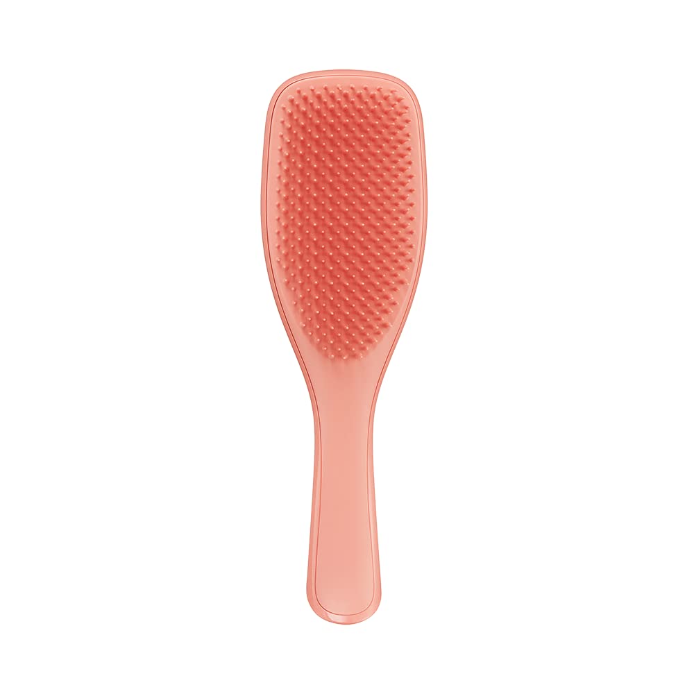 Tangle Teezer The Ultimate Detangler Regular Hairbrush, Fine & Fragile (6 Colors) - Pupsik Singapore