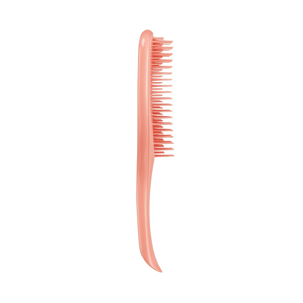 Tangle Teezer The Ultimate Detangler Regular Hairbrush, Fine & Fragile (6 Colors) - Pupsik Singapore