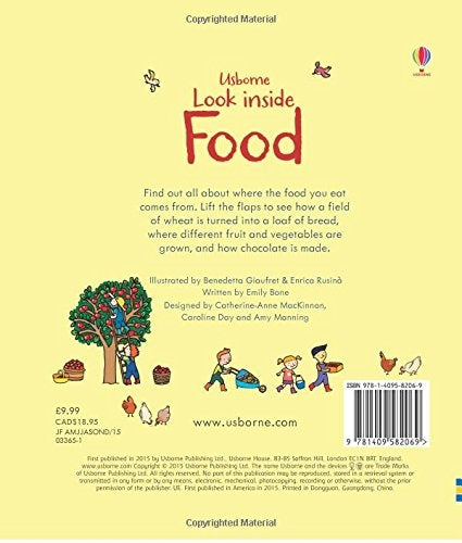 Usborne Lift-the-Flap Look Inside Book (10 Types) - Pupsik Singapore