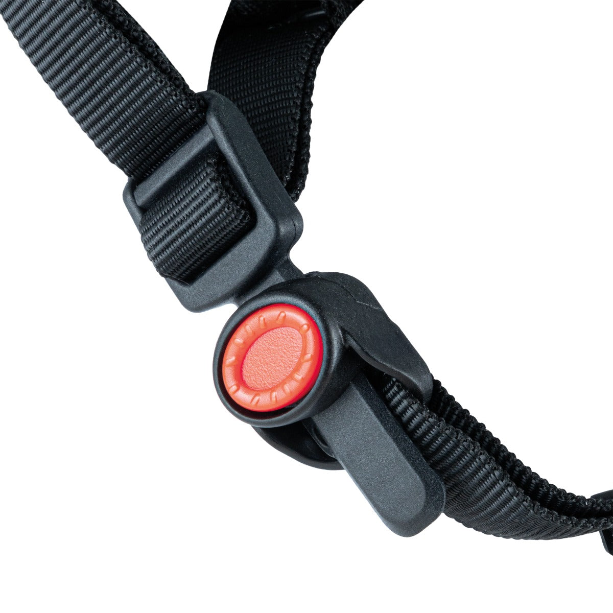 Globber Master Helmet XS/S, 47-51cm (3 Colors) - Pupsik Singapore
