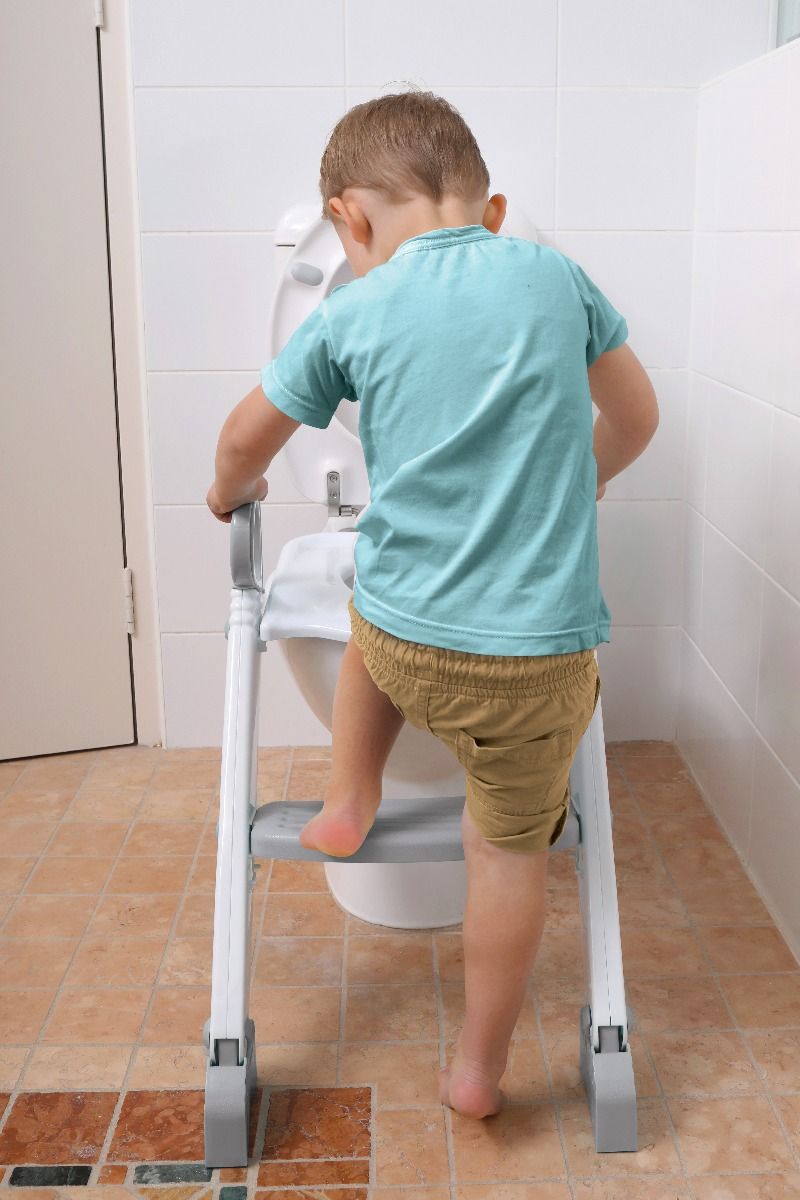 Dreambaby Step Up Toilet Seat Topper (2 colours) - Pupsik Singapore