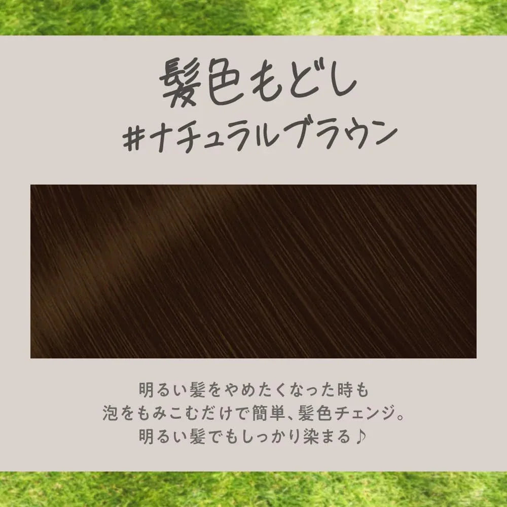 Liese Creamy Bubble Colour Hair Dye (6 Colors) | New Packaging - Pupsik Singapore