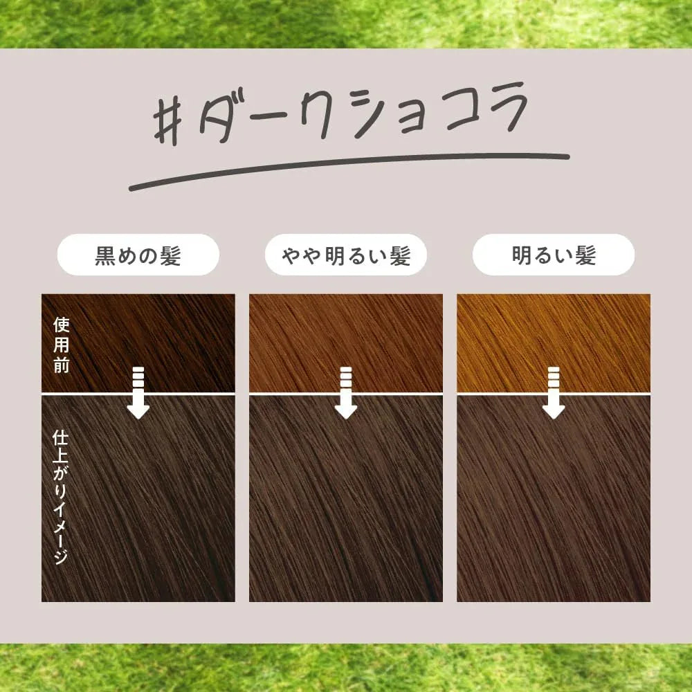 Liese Creamy Bubble Colour Hair Dye (6 Colors) | New Packaging - Pupsik Singapore