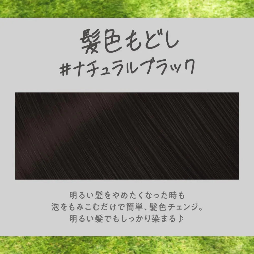 Liese Creamy Bubble Colour Hair Dye (6 Colors) | New Packaging - Pupsik Singapore