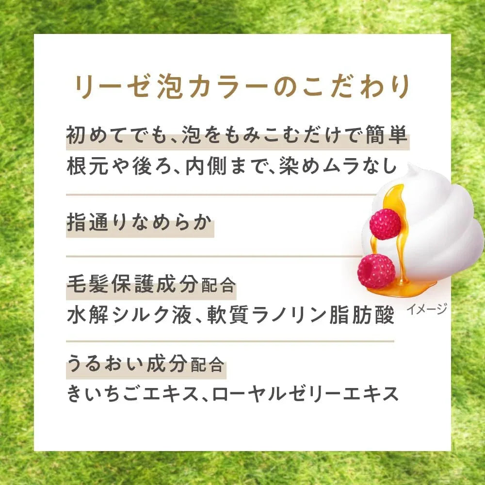 Liese Creamy Bubble Colour Hair Dye (6 Colors) | New Packaging - Pupsik Singapore