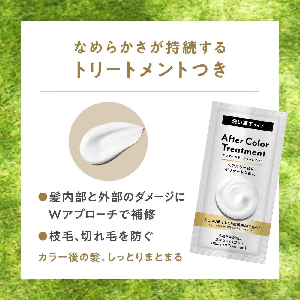 Liese Creamy Bubble Colour Hair Dye (6 Colors) | New Packaging - Pupsik Singapore