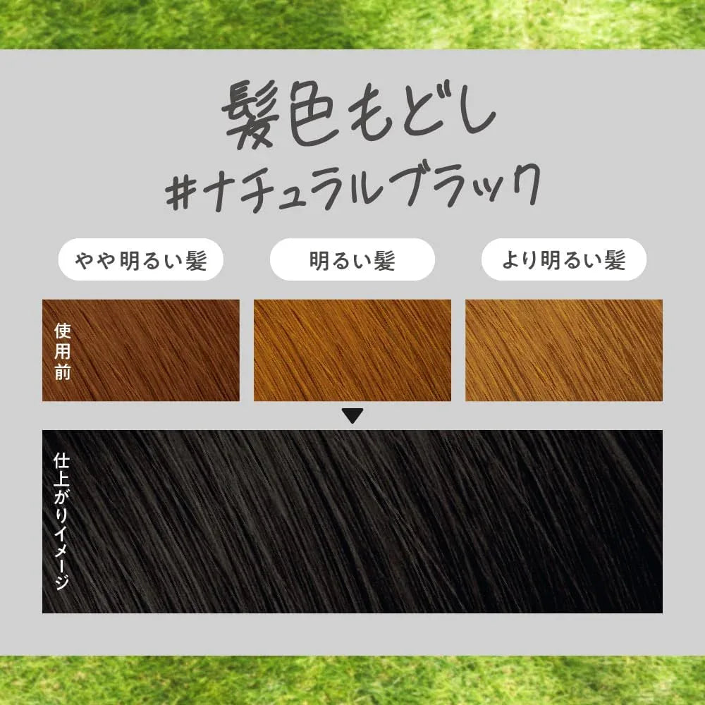 Liese Creamy Bubble Colour Hair Dye (6 Colors) | New Packaging - Pupsik Singapore