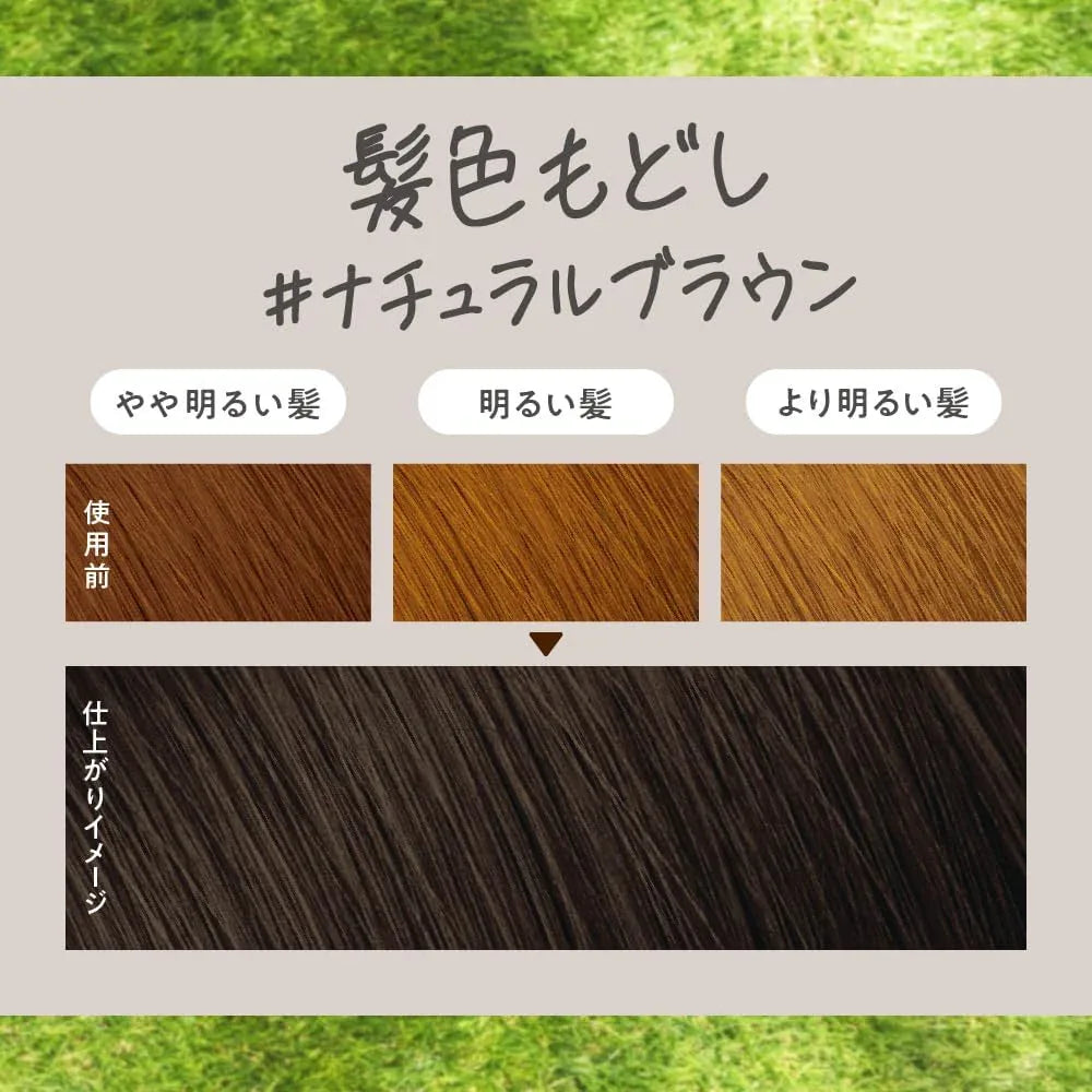 Liese Creamy Bubble Colour Hair Dye (6 Colors) | New Packaging - Pupsik Singapore