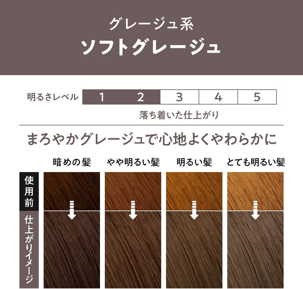 Liese Creamy Bubble Colour Hair Dye - New Packaging (23 Colors) - Pupsik Singapore