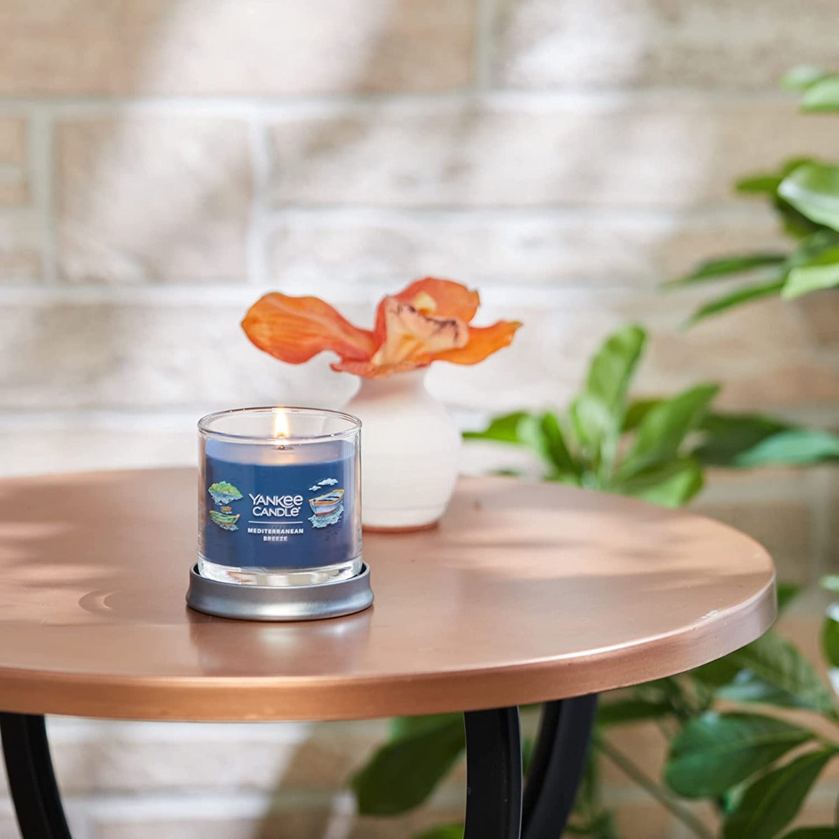 Yankee Candle Signature Small Tumbler Candle, 1- Wick (4.3oz) - Mediterranean Breeze