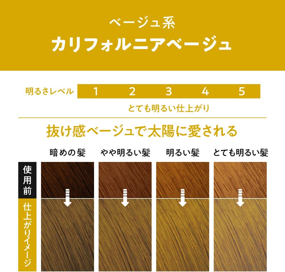 Liese Creamy Bubble Colour Hair Dye - New Packaging (23 Colors) - Pupsik Singapore