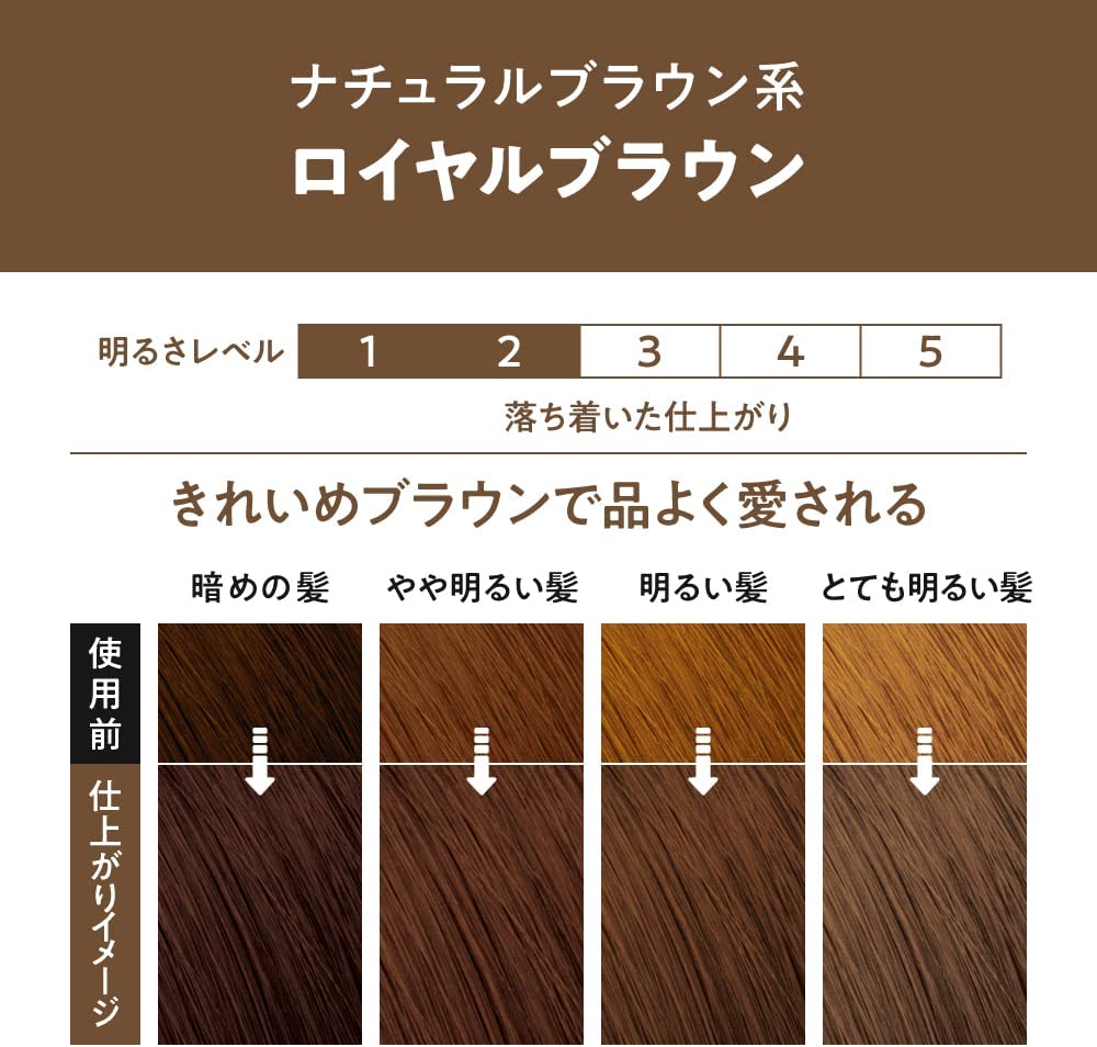 Liese Creamy Bubble Colour Hair Dye - New Packaging (23 Colors) - Pupsik Singapore