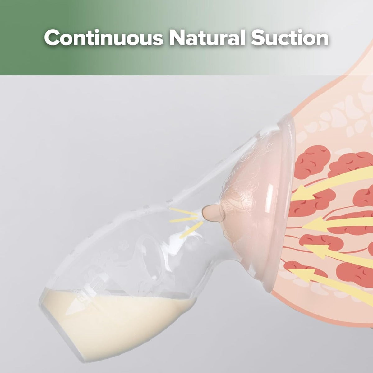 Haakaa Gen 2 Silicone Manual Breast Pump, 150ml (w/ Suction Base & Lid) - 3 Colors