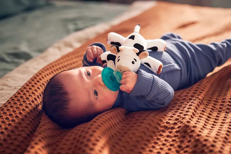 Philips Avent Soothie Snuggle (8 Designs) - Pupsik Singapore