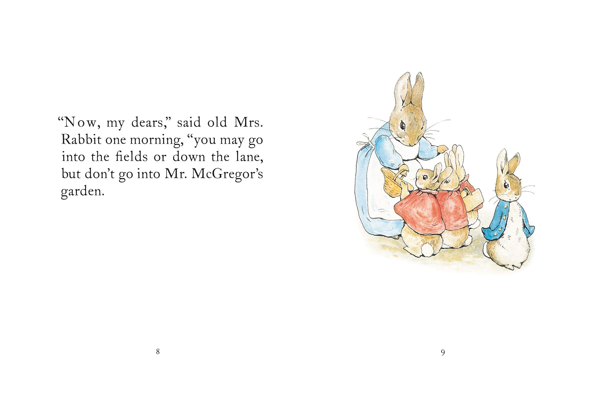 The Tale of Peter Rabbit Story Book