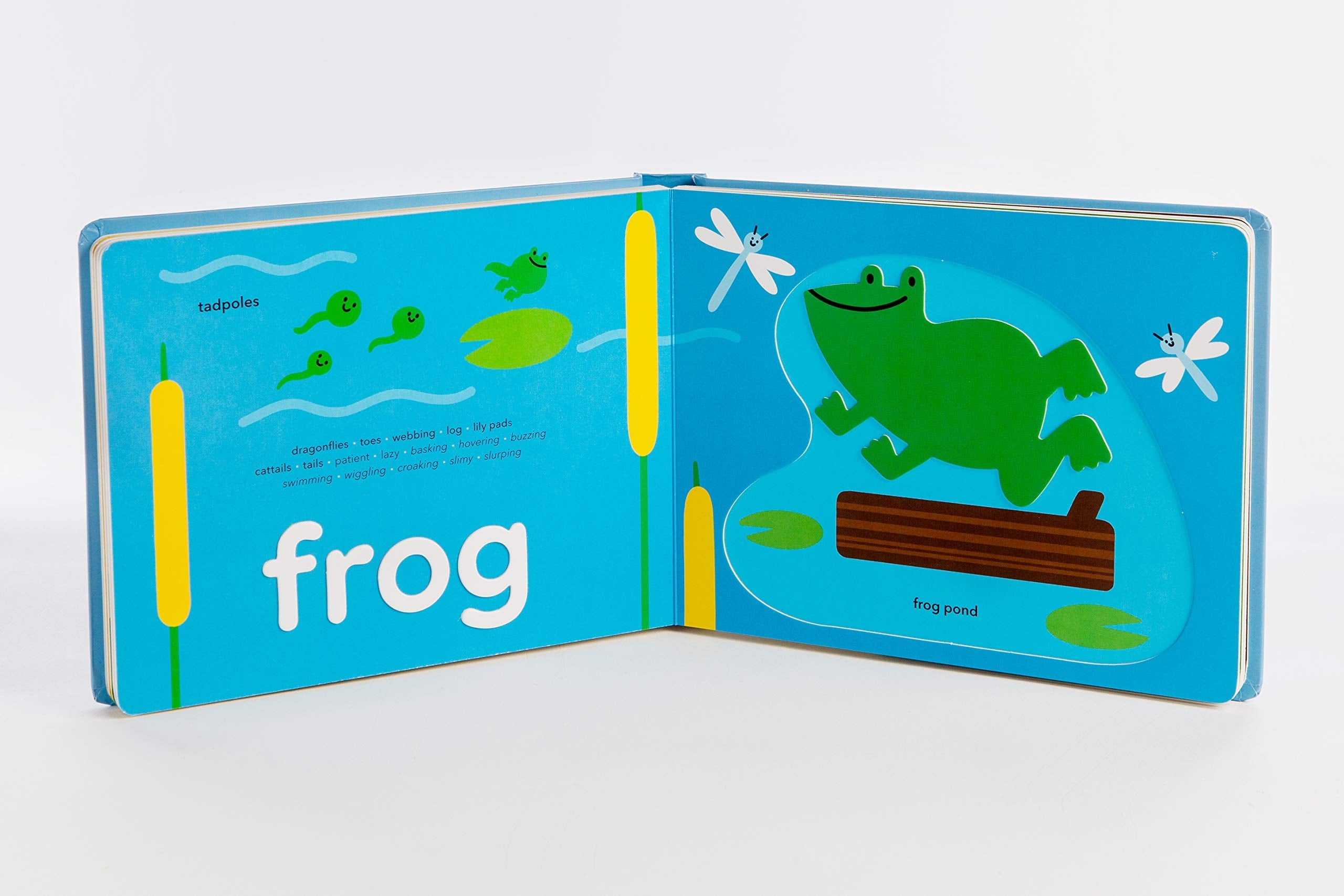 TouchWords: Animals Children's Book