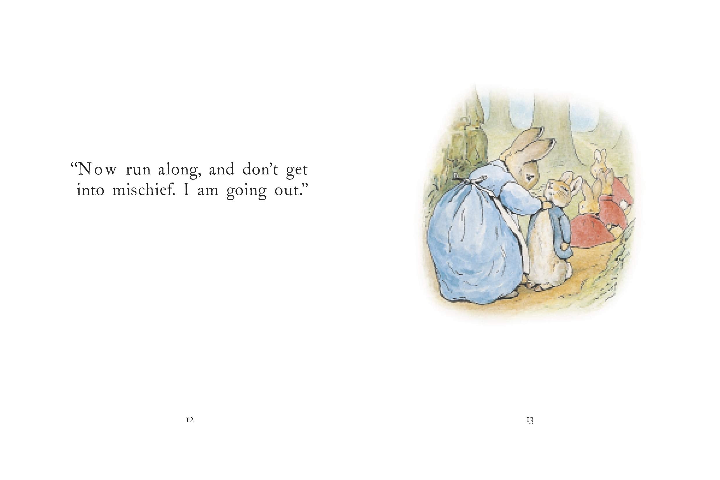 The Tale of Peter Rabbit Story Book