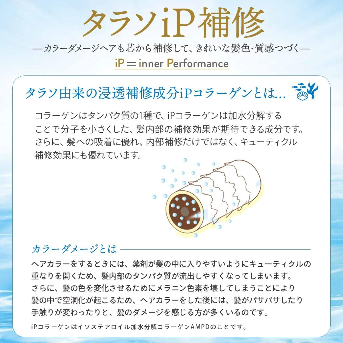 Jelaime iP Thalasso Repair Essence Treatment (Moist & Smooth), 480ml