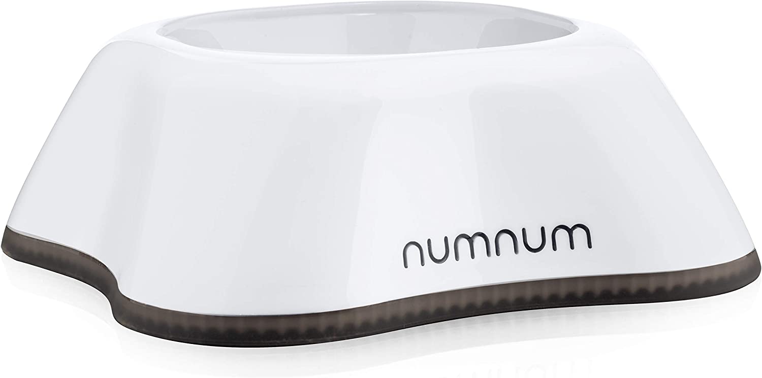 NumNum Beginner Bowl