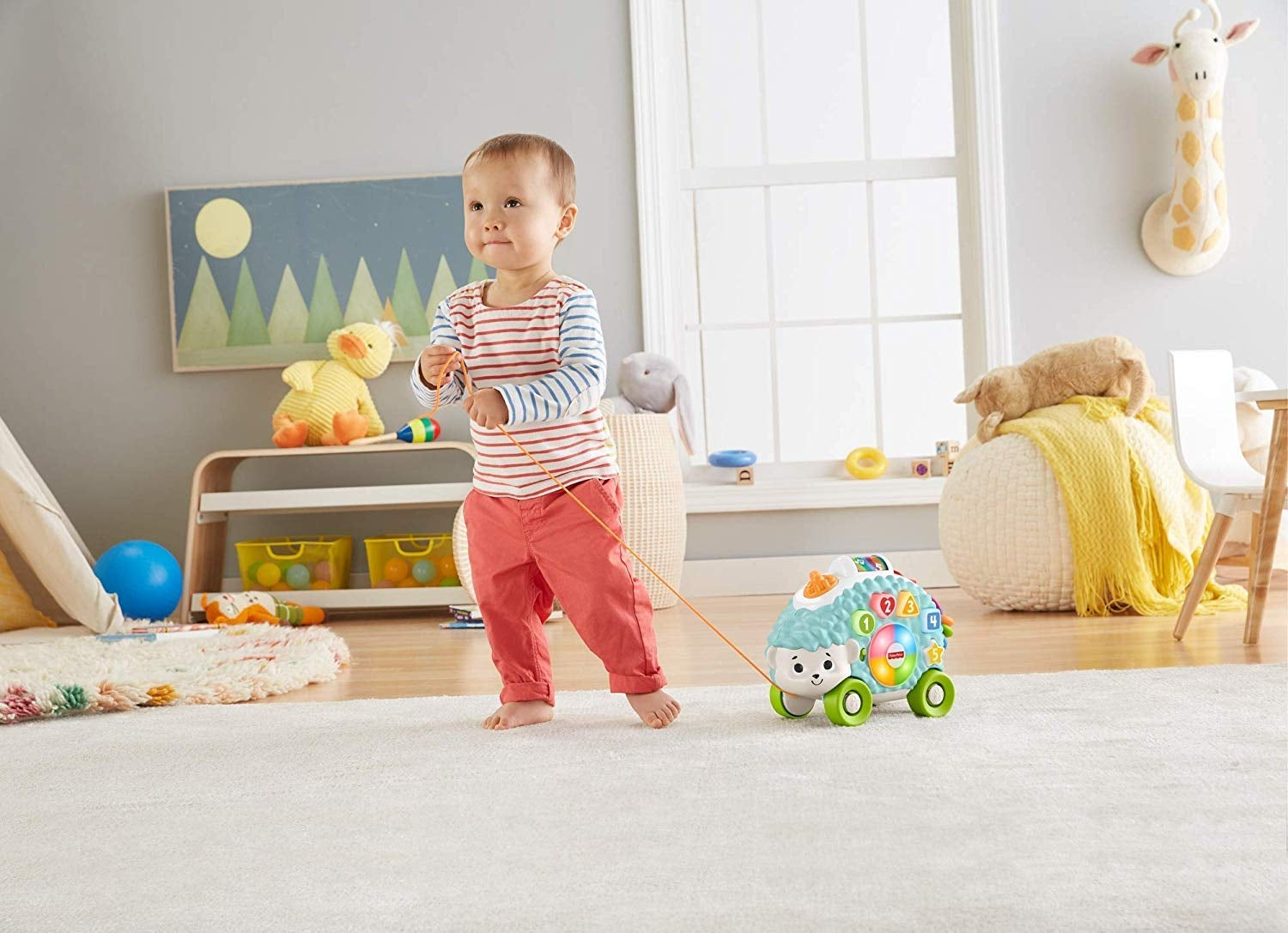 Fisher Price Happy Shapes Hedgehog Pull Toy
