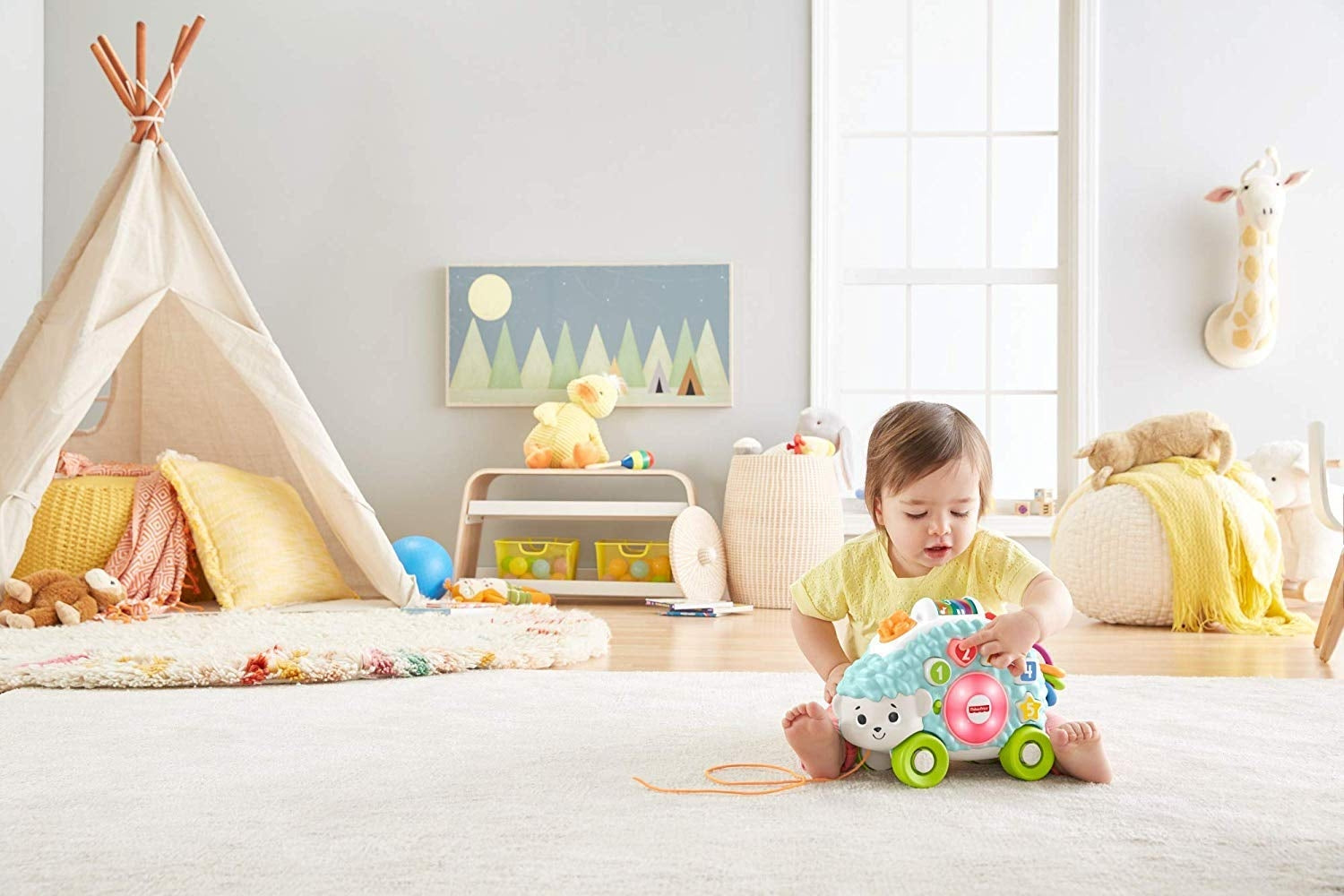 Fisher Price Happy Shapes Hedgehog Pull Toy