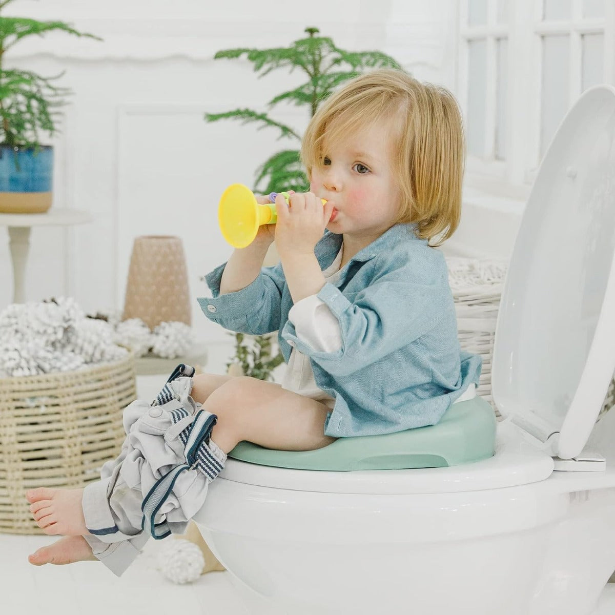 Bumbo Toilet Trainer (6 Colors) - Pupsik Singapore
