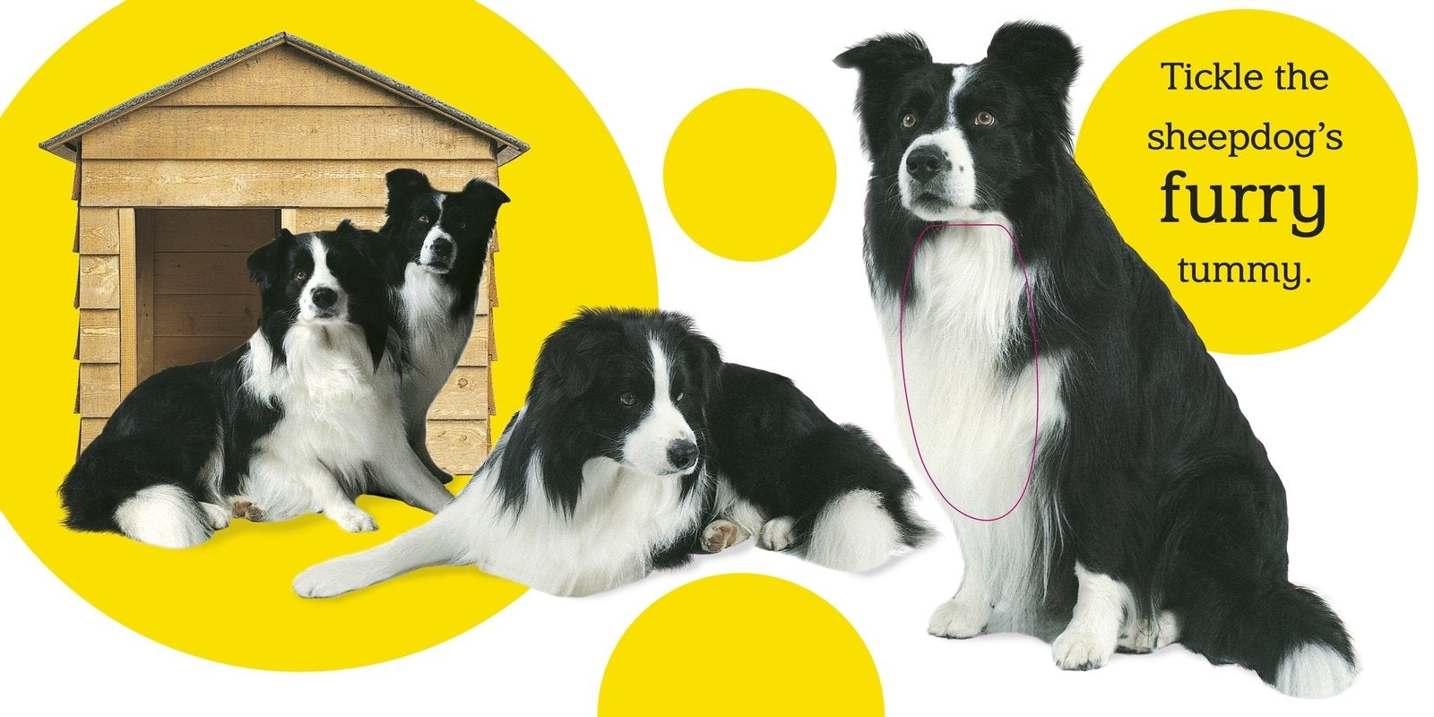 Touch and Feel: Farm Board Book