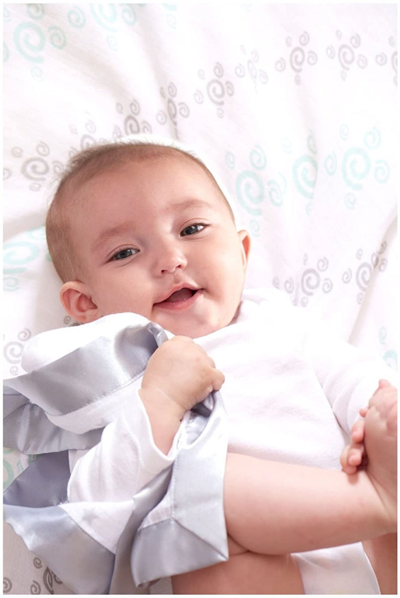 Aden Anais Essentials Muslin Security Blanket (2pk) - 2 Designs