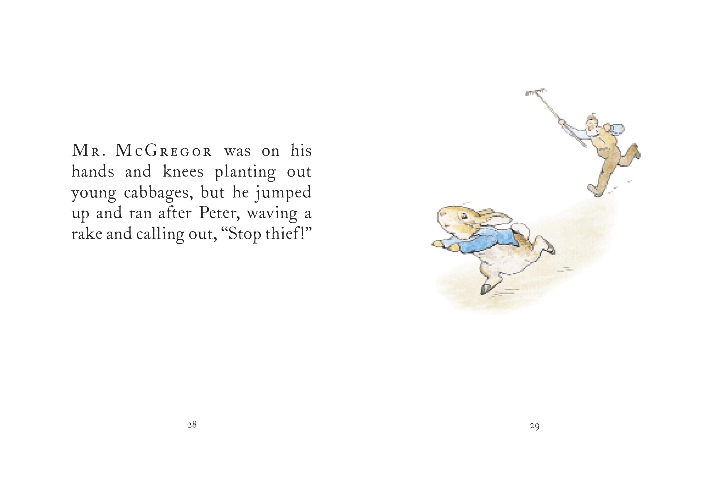 The Tale of Peter Rabbit Story Book
