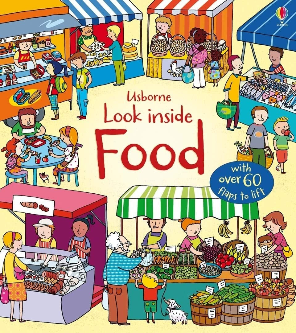 Usborne Lift-the-Flap Look Inside Book (10 Types)
