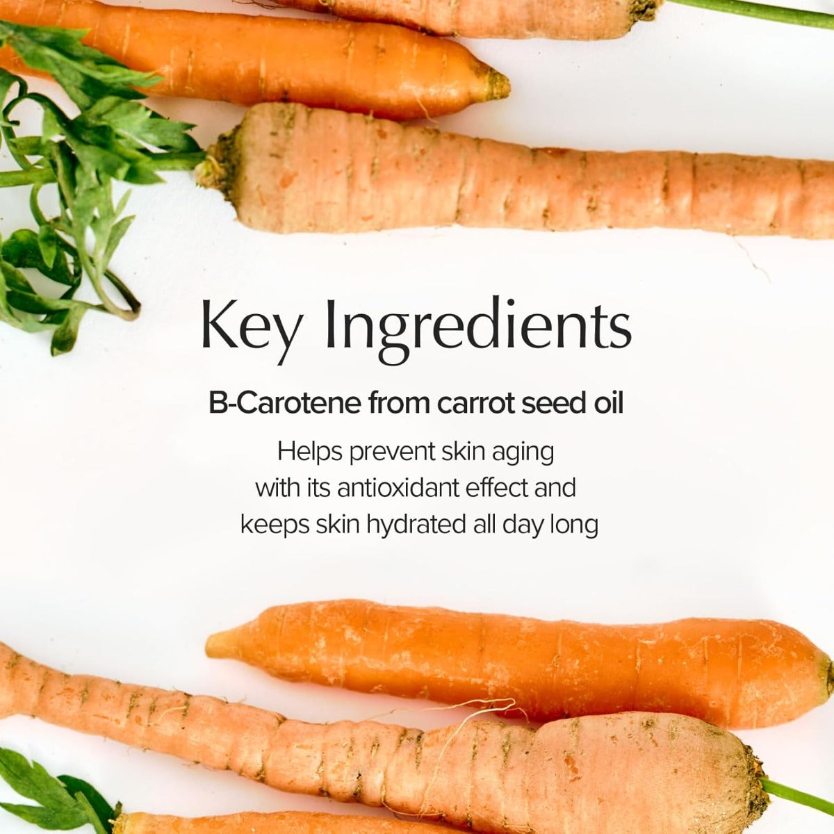 Skinfood Carrot Carotene Calming Water Pad, 60pcs (Exp 05/27)