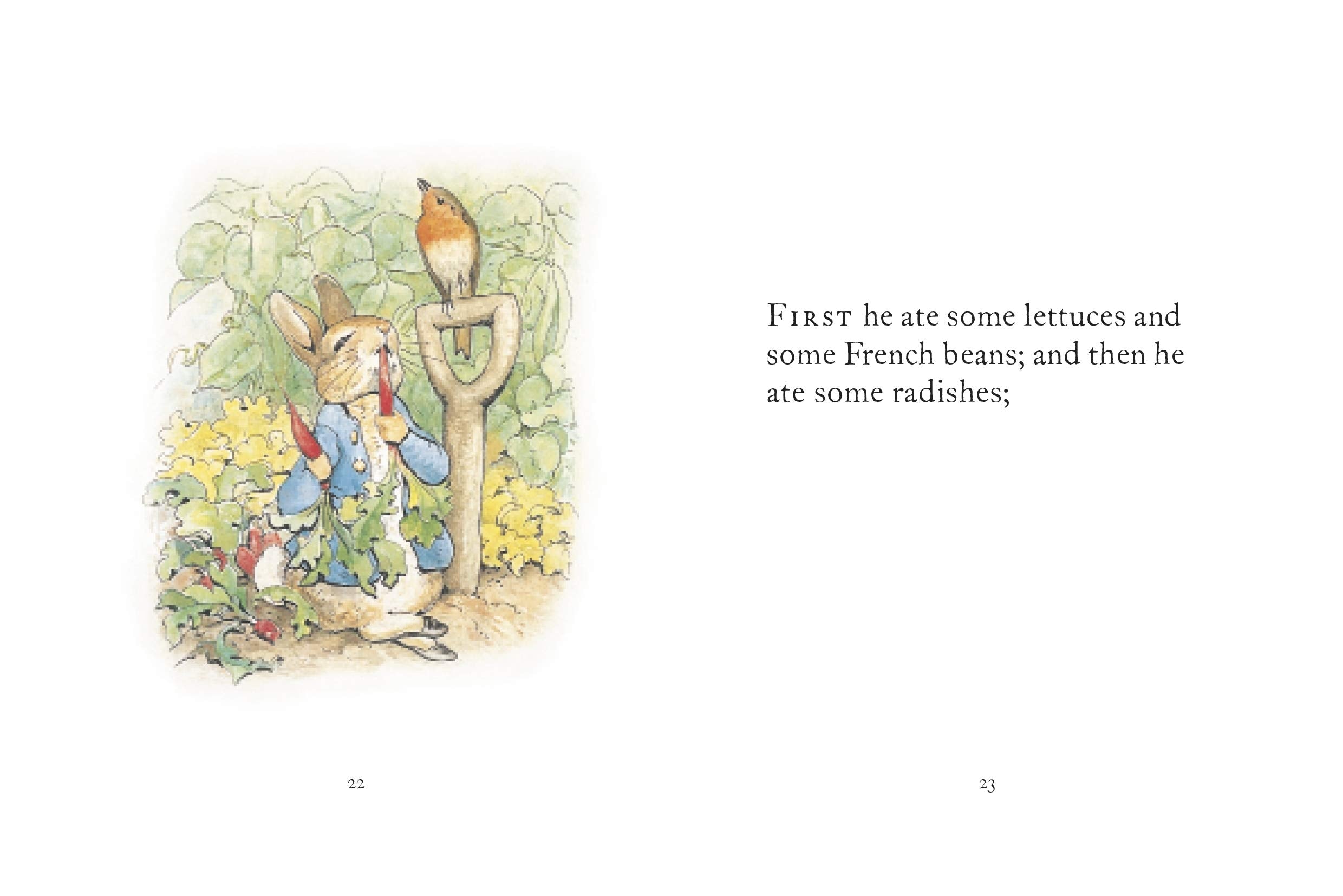 The Tale of Peter Rabbit Story Book