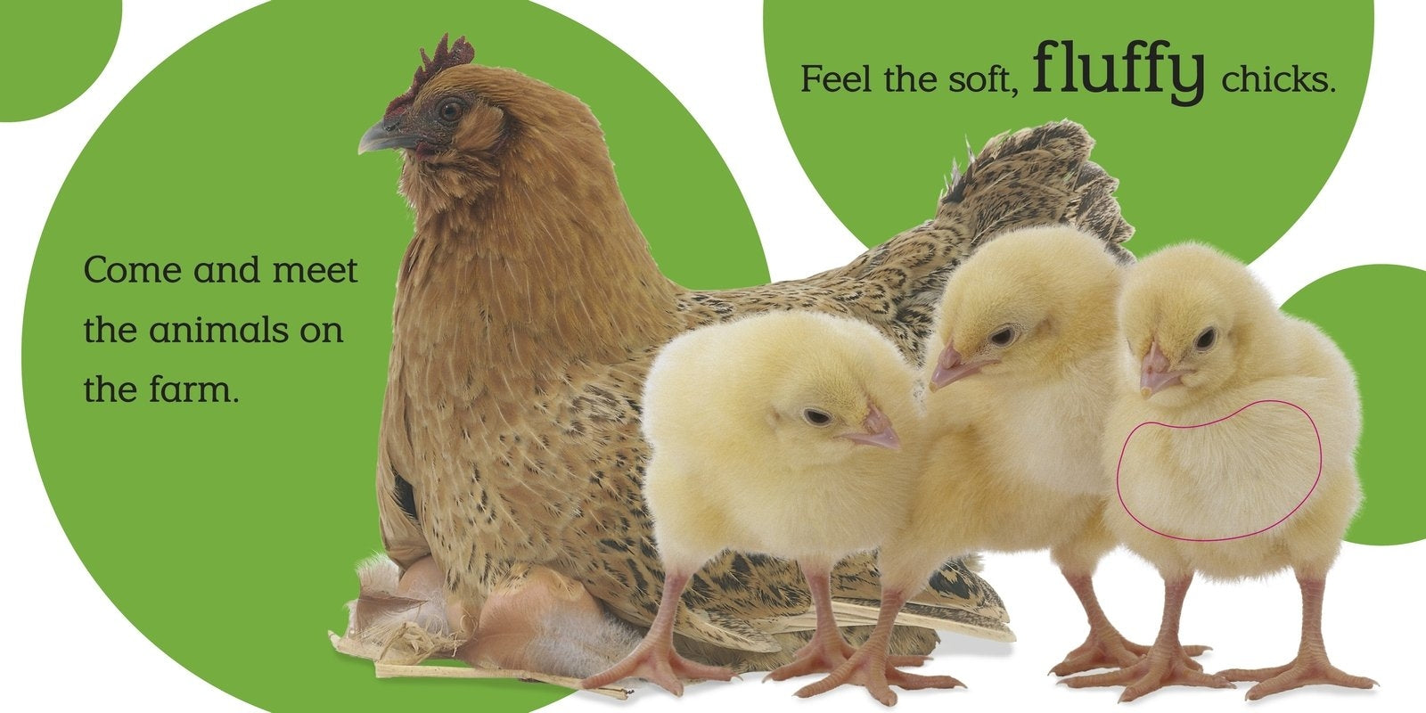 Touch and Feel: Farm Board Book