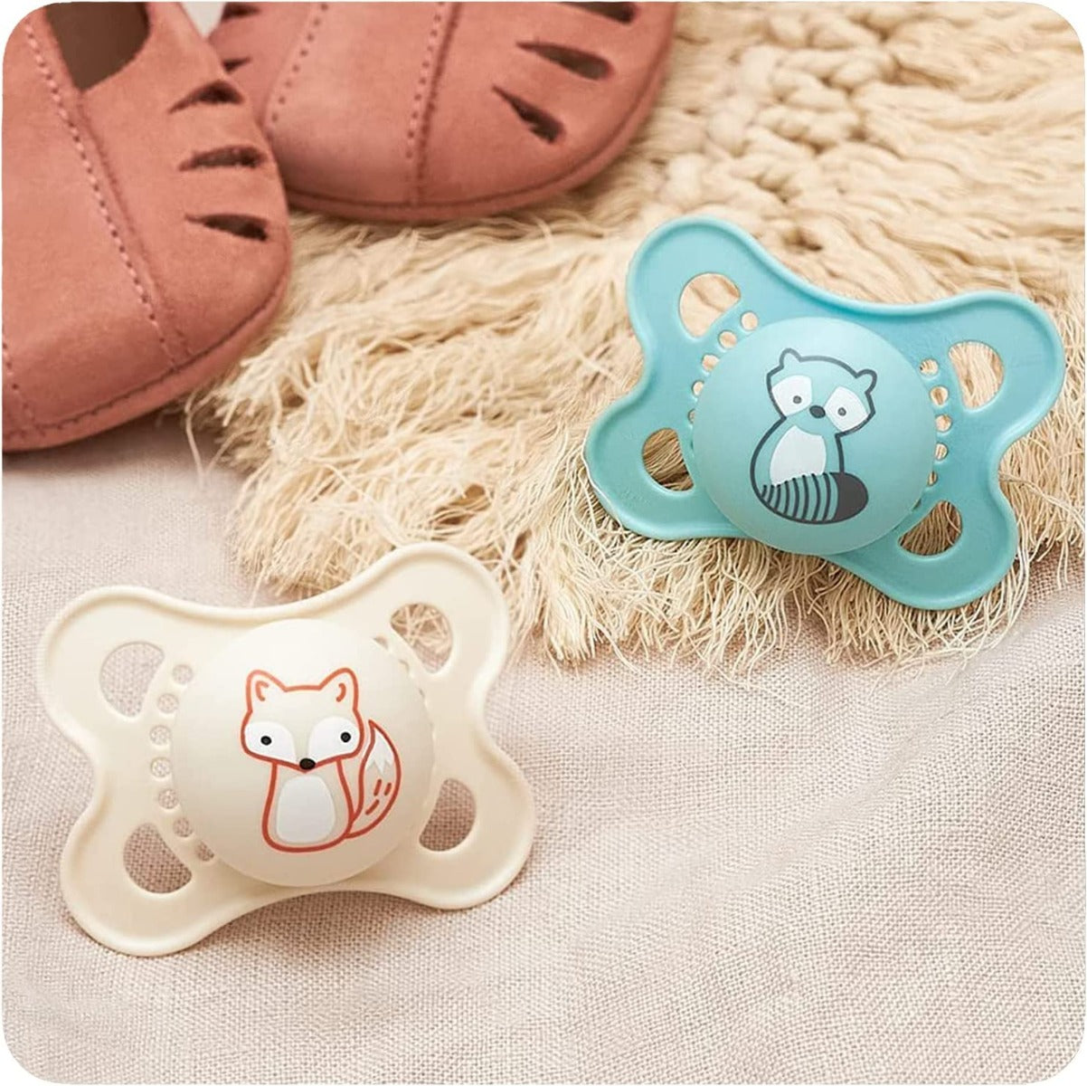 MAM Original Start Pacifier with Case, 2pk (2-6M) - 2 Assorted Designs - Pupsik Singapore