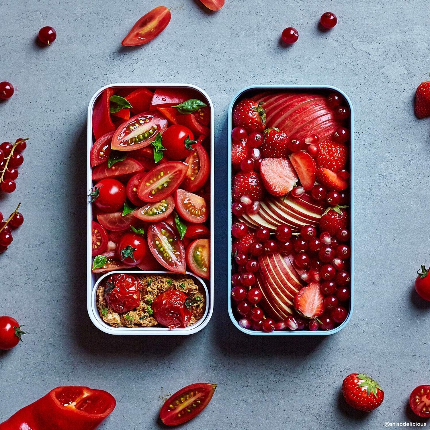 Monbento MB Original Bento Box (3 Colours) - Pupsik Singapore