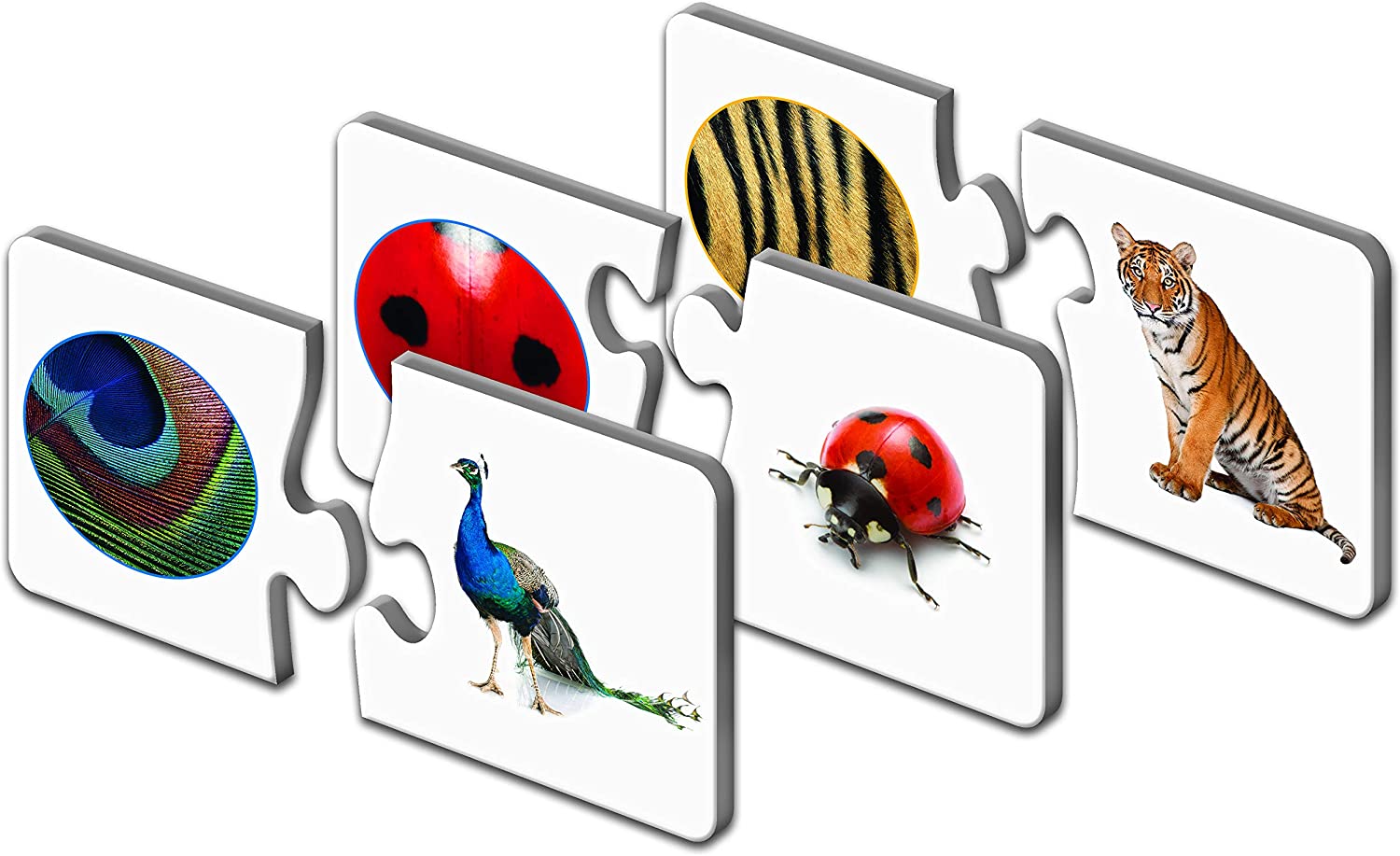 The Learning Journey Match It! Spot Me
