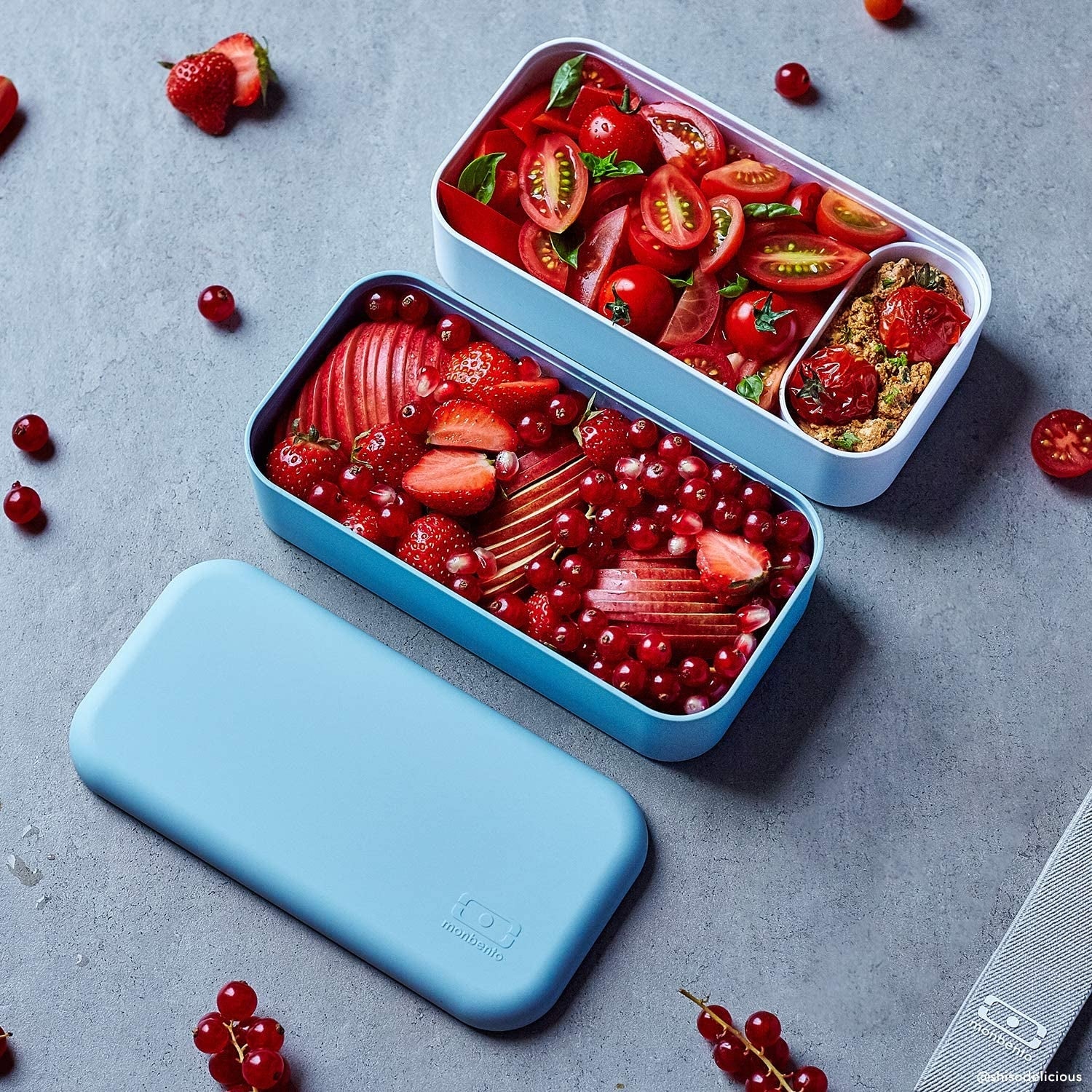 Monbento MB Original Bento Box (3 Colours) - Pupsik Singapore