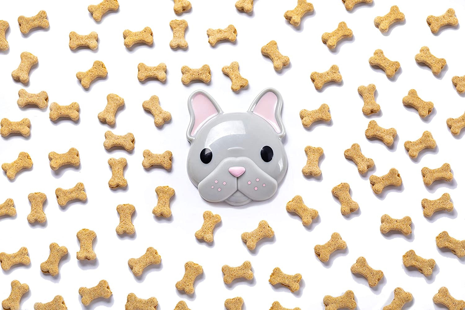 Melii Snack Container, 232ml - Bulldog - Pupsik Singapore